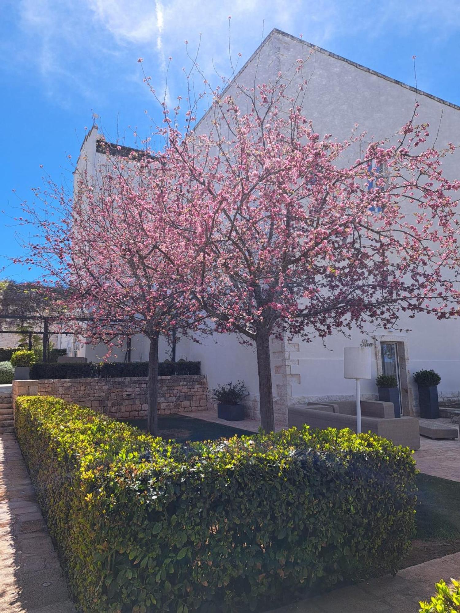 Relais Il Santissimo Turi Exterior foto